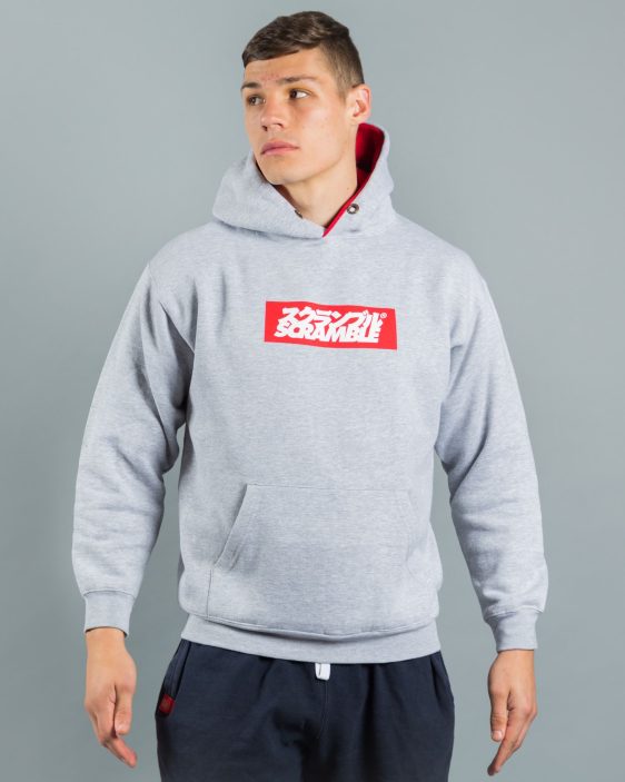 Box Logo Hoodie - Grey