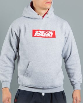 Box Logo Hoodie - Grey