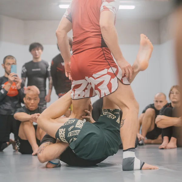 NOGI