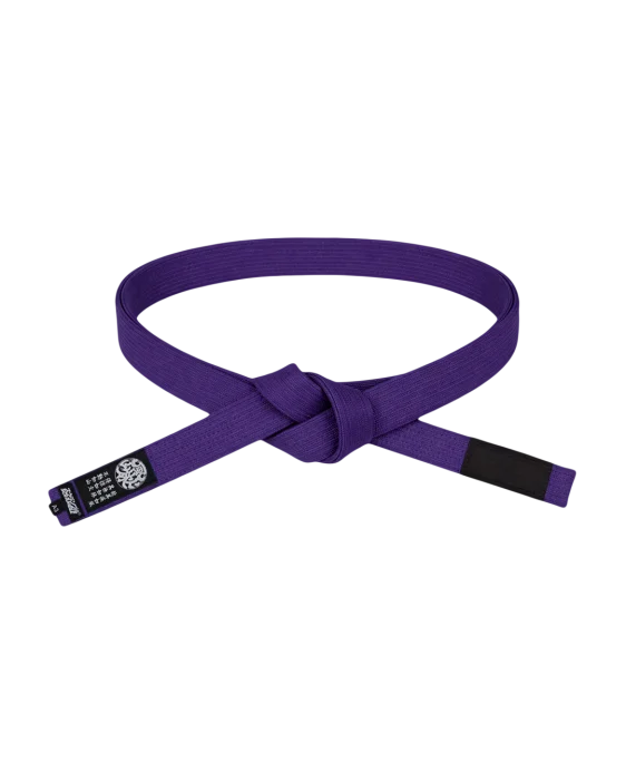 Elemental Belt - Purple