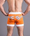 Sakuraba Vale Tudo Shorts