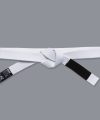 Scramble BJJ Belt V2 - White