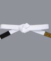 Scramble BJJ Belt V3 - White