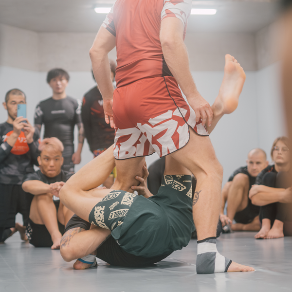NOGI