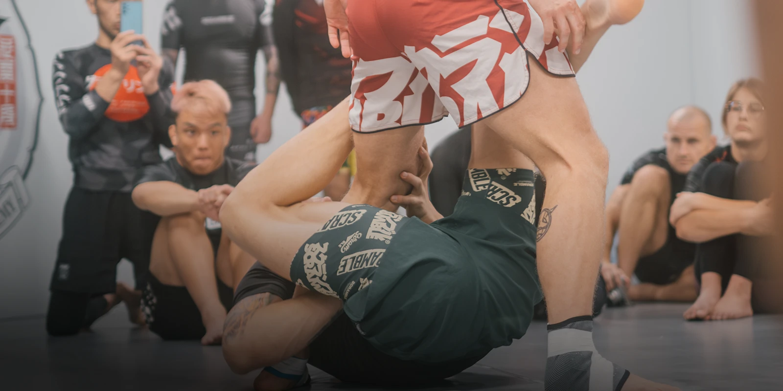 NOGI