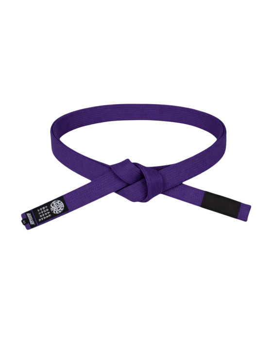 Elemental Belt - Purple